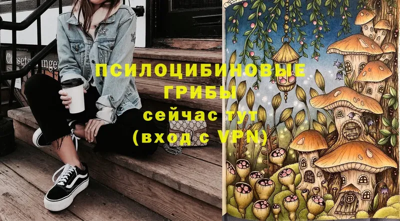 Псилоцибиновые грибы GOLDEN TEACHER  kraken ONION  Наволоки 