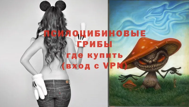 Псилоцибиновые грибы Magic Shrooms Наволоки